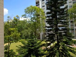 Blk 113 Sunset Way Residence (Clementi), HDB 4 Rooms #525961791